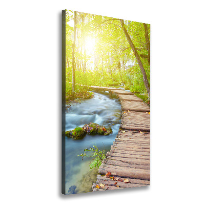 Large canvas wall art Path in the forest