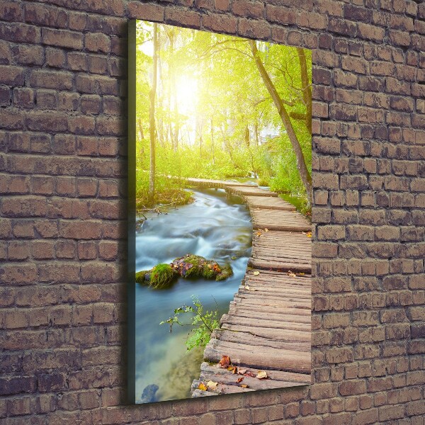 Large canvas wall art Path in the forest