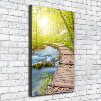 Large canvas wall art Path in the forest