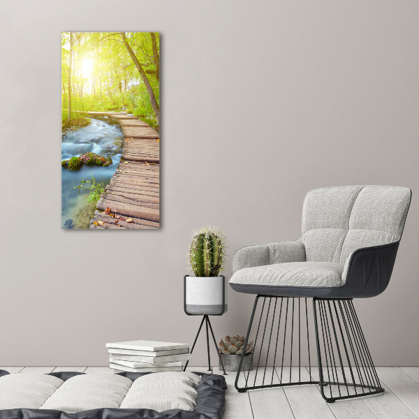 Large canvas wall art Path in the forest