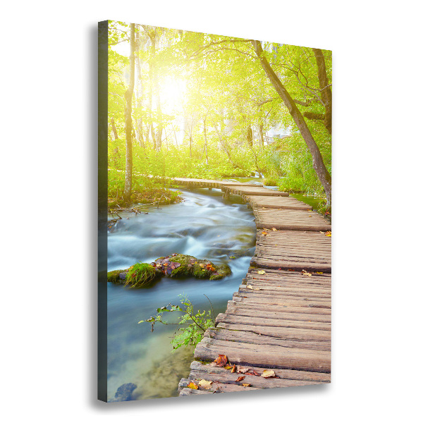 Large canvas wall art Path in the forest