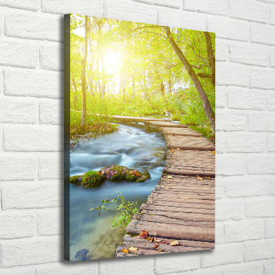 Large canvas wall art Path in the forest