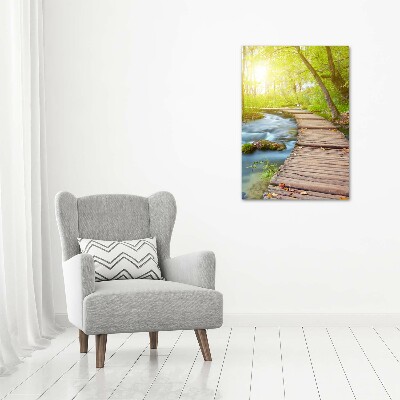 Large canvas wall art Path in the forest