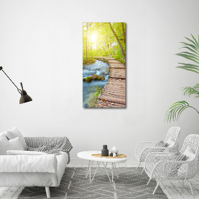 Large canvas wall art Path in the forest