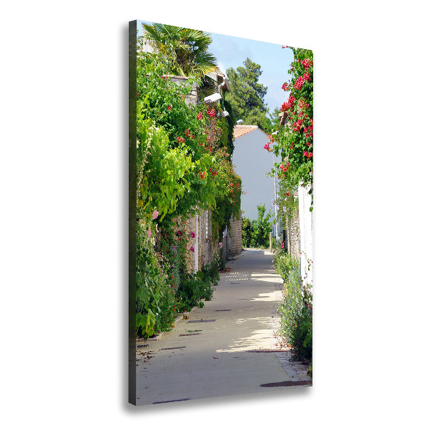 Canvas print French streets