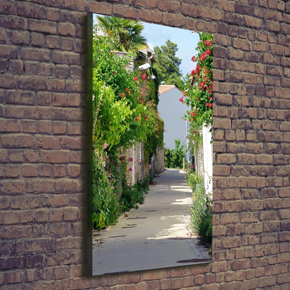 Canvas print French streets