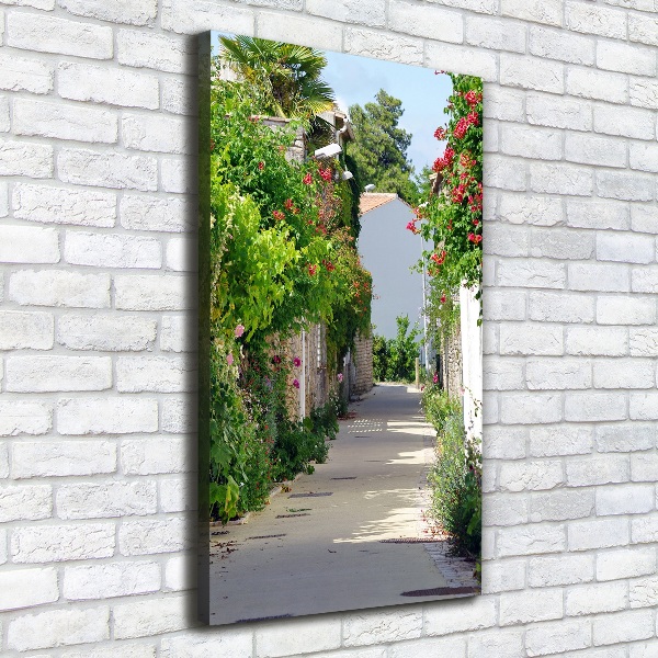 Canvas print French streets