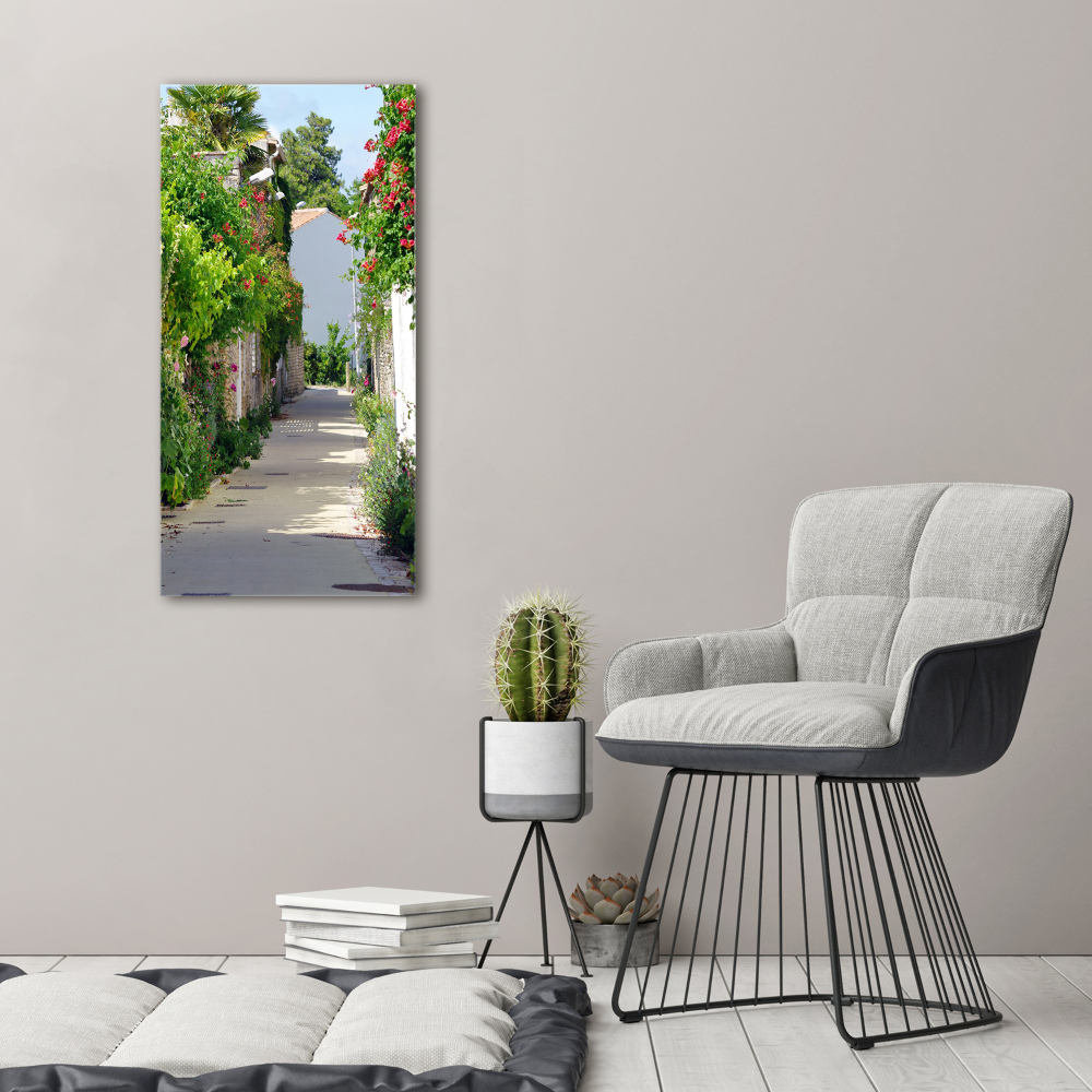 Canvas print French streets