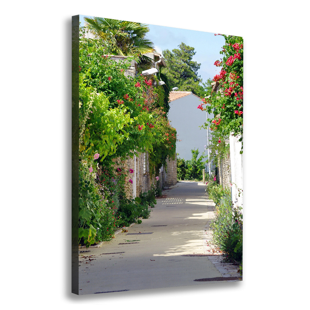 Canvas print French streets