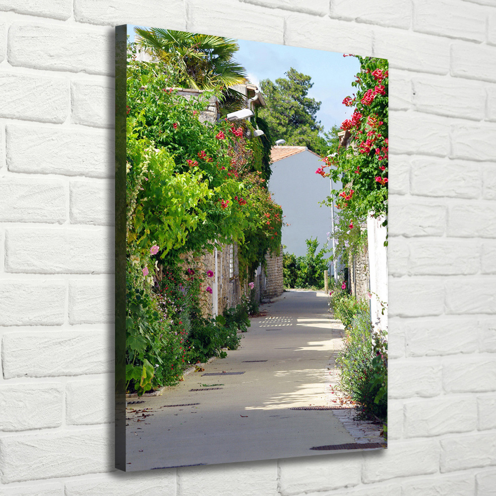 Canvas print French streets