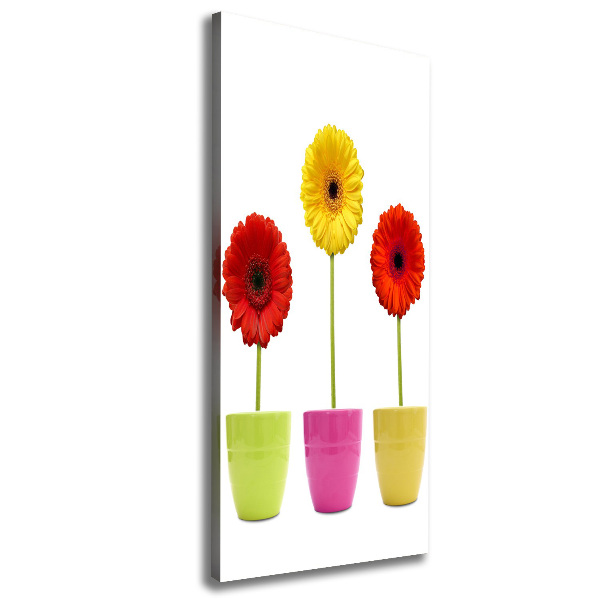 Wall art canvas Colorful gerberas