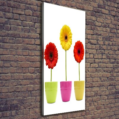 Wall art canvas Colorful gerberas