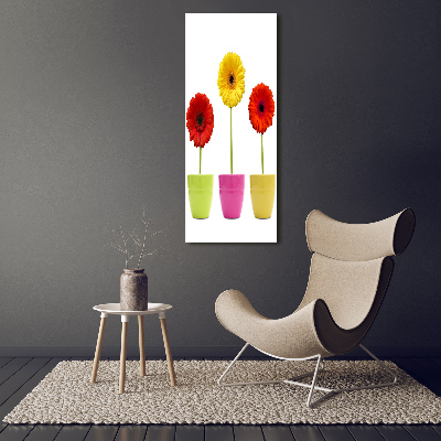 Wall art canvas Colorful gerberas