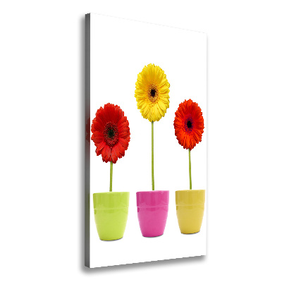 Wall art canvas Colorful gerberas