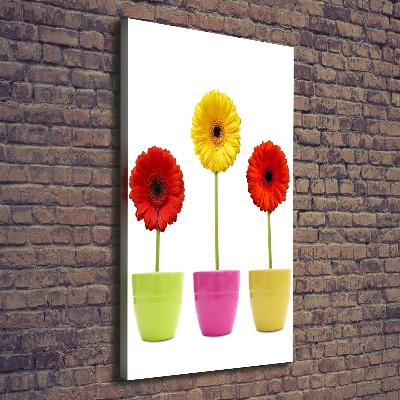 Wall art canvas Colorful gerberas