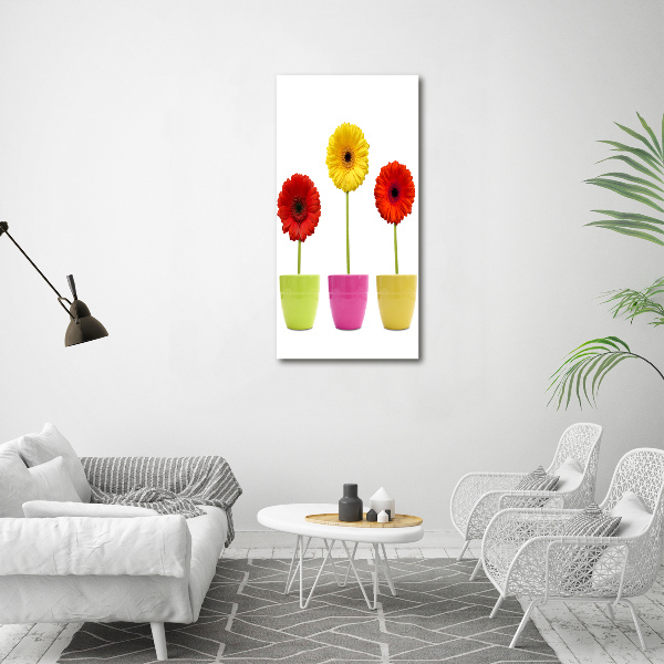 Wall art canvas Colorful gerberas