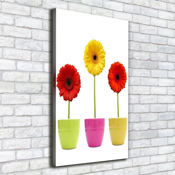 Wall art canvas Colorful gerberas