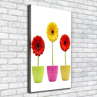 Wall art canvas Colorful gerberas