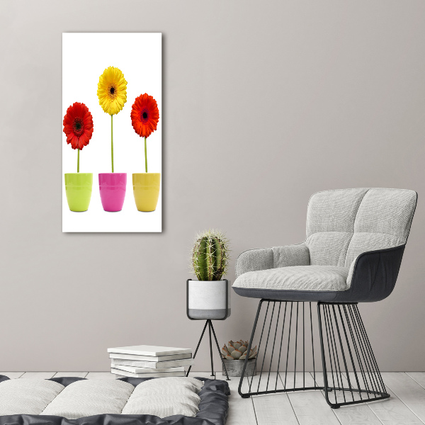 Wall art canvas Colorful gerberas