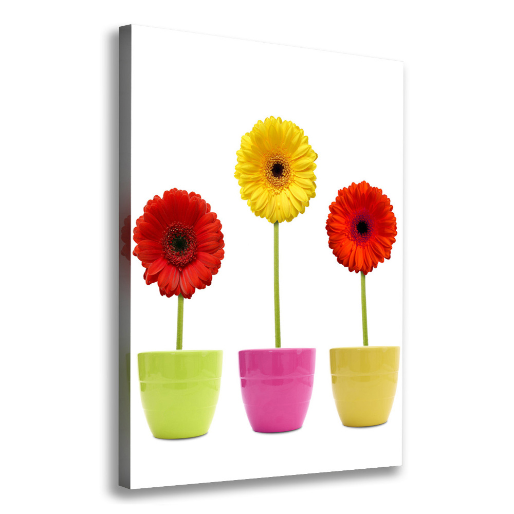 Wall art canvas Colorful gerberas