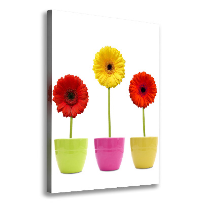 Wall art canvas Colorful gerberas