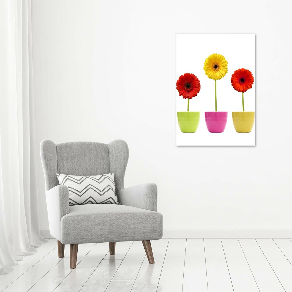 Wall art canvas Colorful gerberas