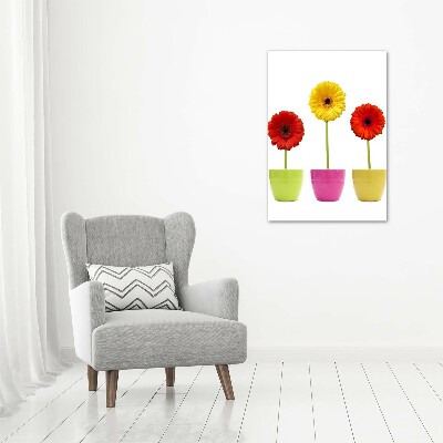 Wall art canvas Colorful gerberas