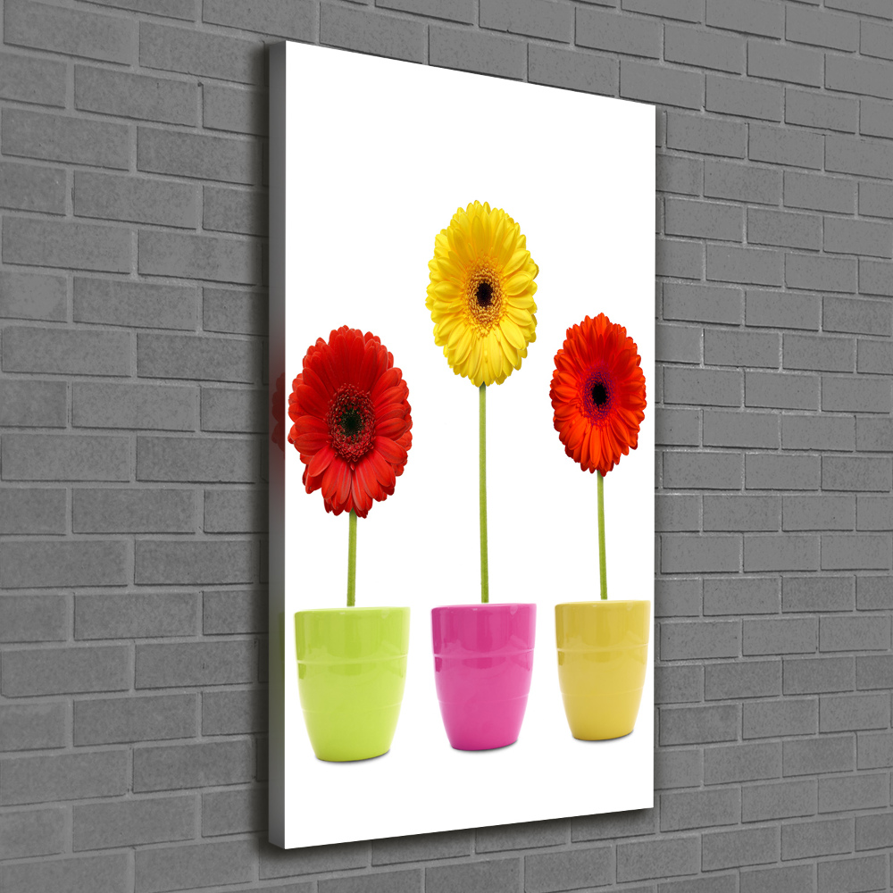 Wall art canvas Colorful gerberas