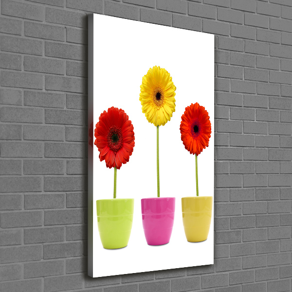 Wall art canvas Colorful gerberas