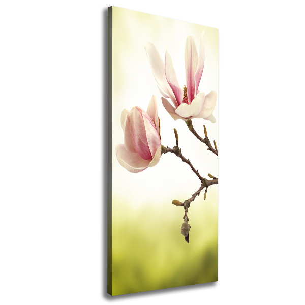 Wall art canvas Magnolia flowers