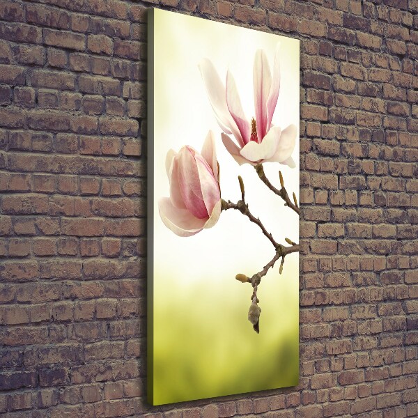 Wall art canvas Magnolia flowers