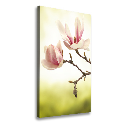 Wall art canvas Magnolia flowers