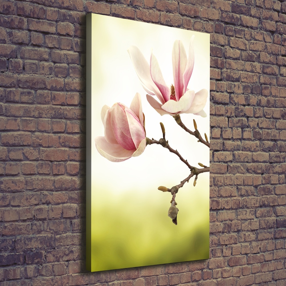 Wall art canvas Magnolia flowers