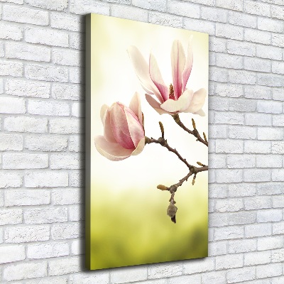 Wall art canvas Magnolia flowers