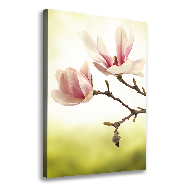 Wall art canvas Magnolia flowers