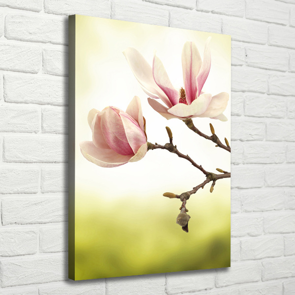 Wall art canvas Magnolia flowers