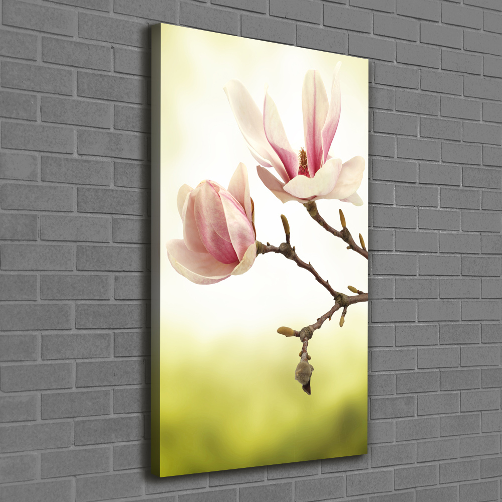 Wall art canvas Magnolia flowers