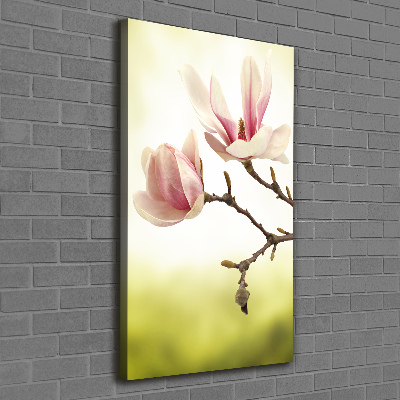 Wall art canvas Magnolia flowers