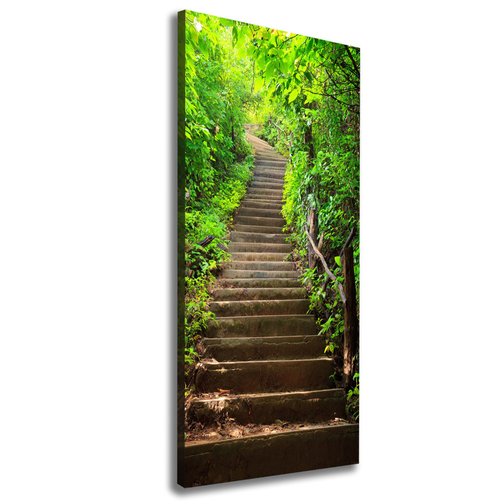 Canvas print Stairs to the forest