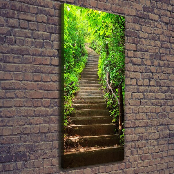 Canvas print Stairs to the forest