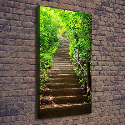 Canvas print Stairs to the forest