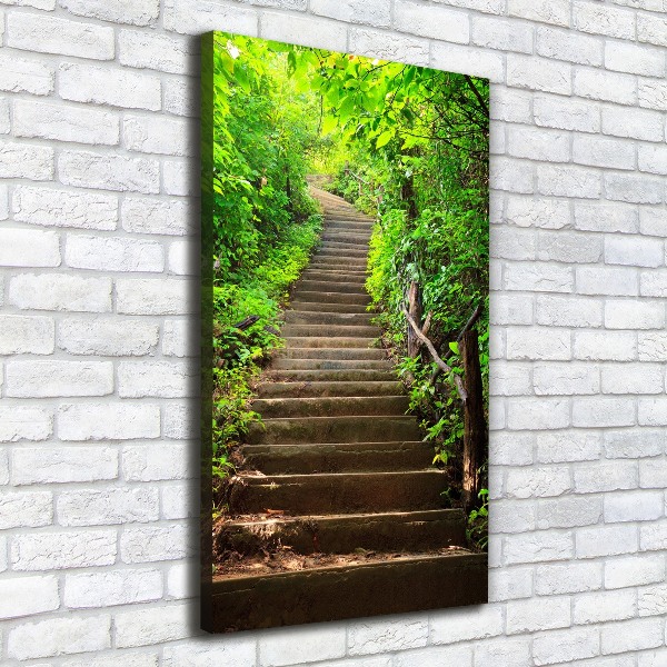 Canvas print Stairs to the forest