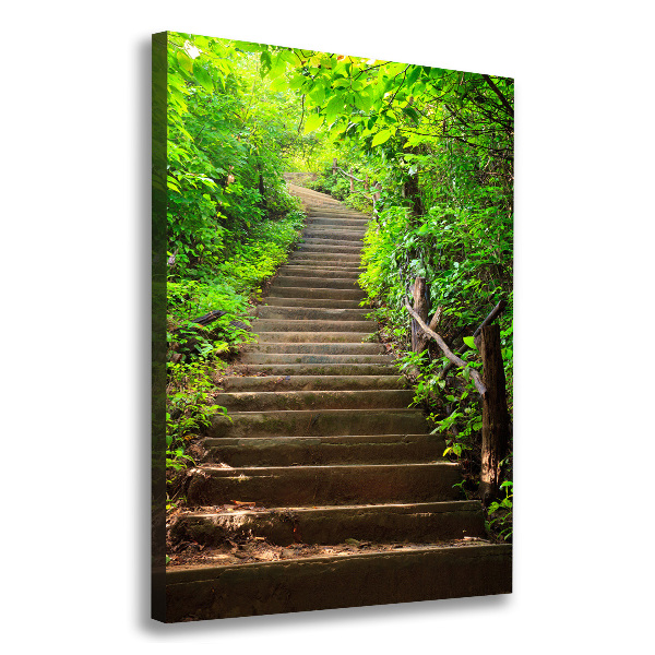 Canvas print Stairs to the forest