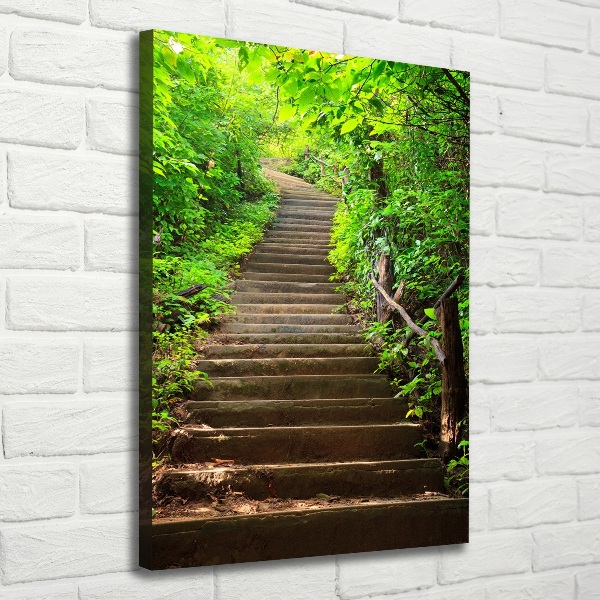 Canvas print Stairs to the forest