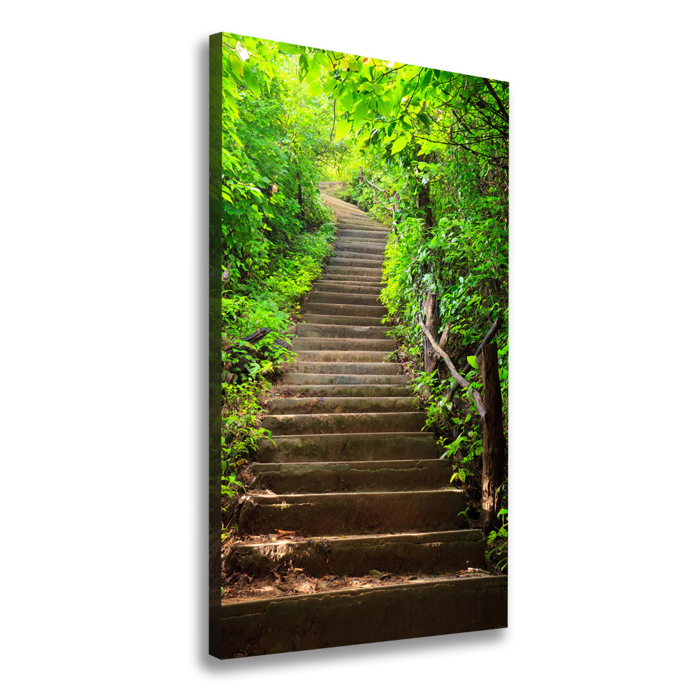 Canvas print Stairs to the forest