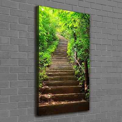 Canvas print Stairs to the forest