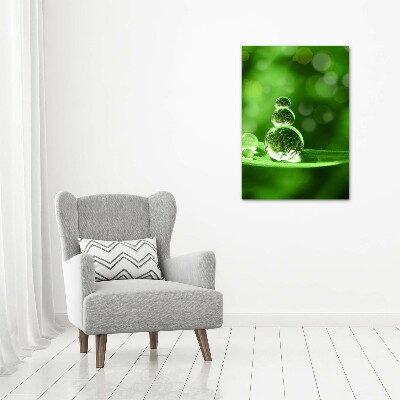 Picture canvas print Drops on the grass