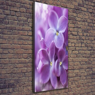 Wall art canvas Lilac flowers