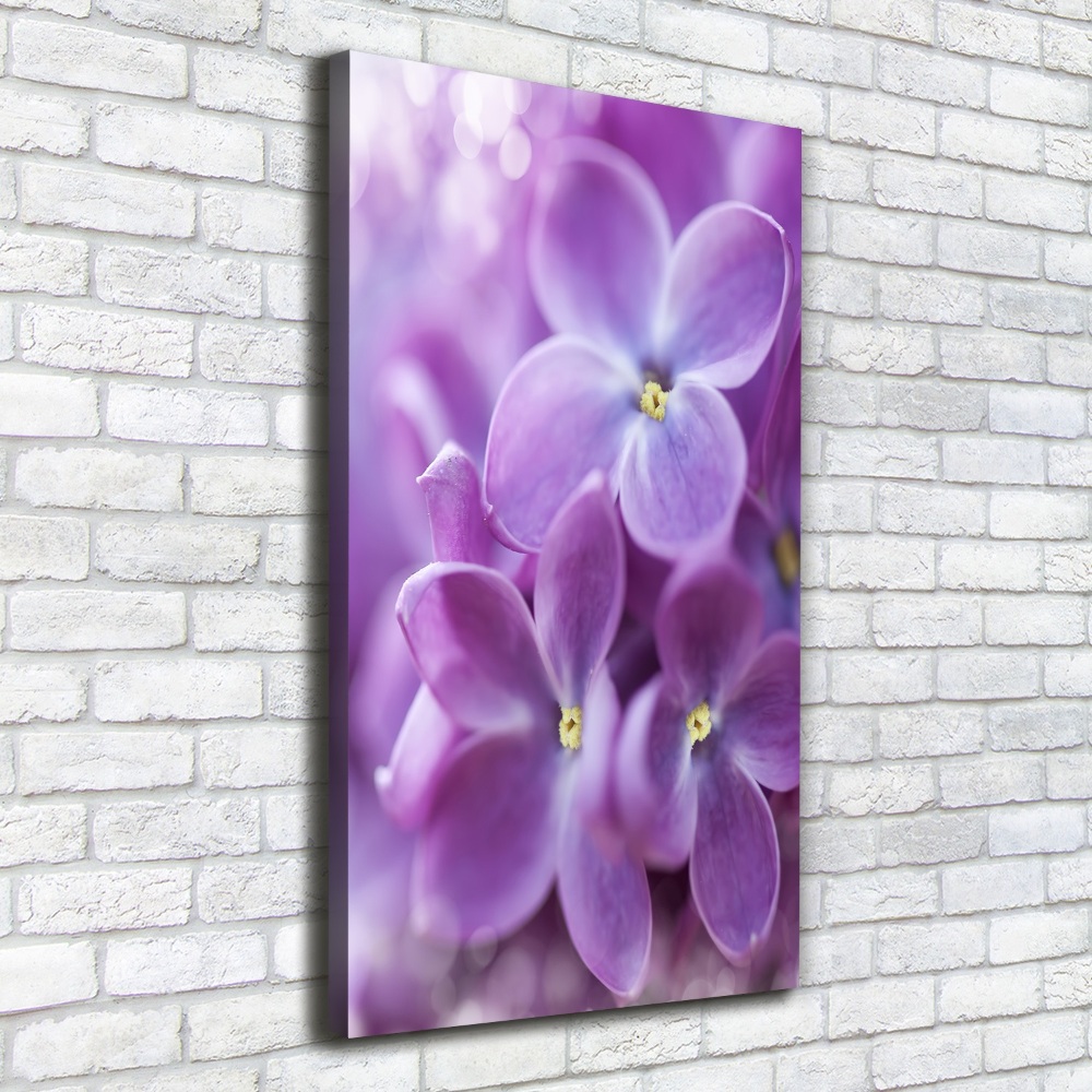 Wall art canvas Lilac flowers