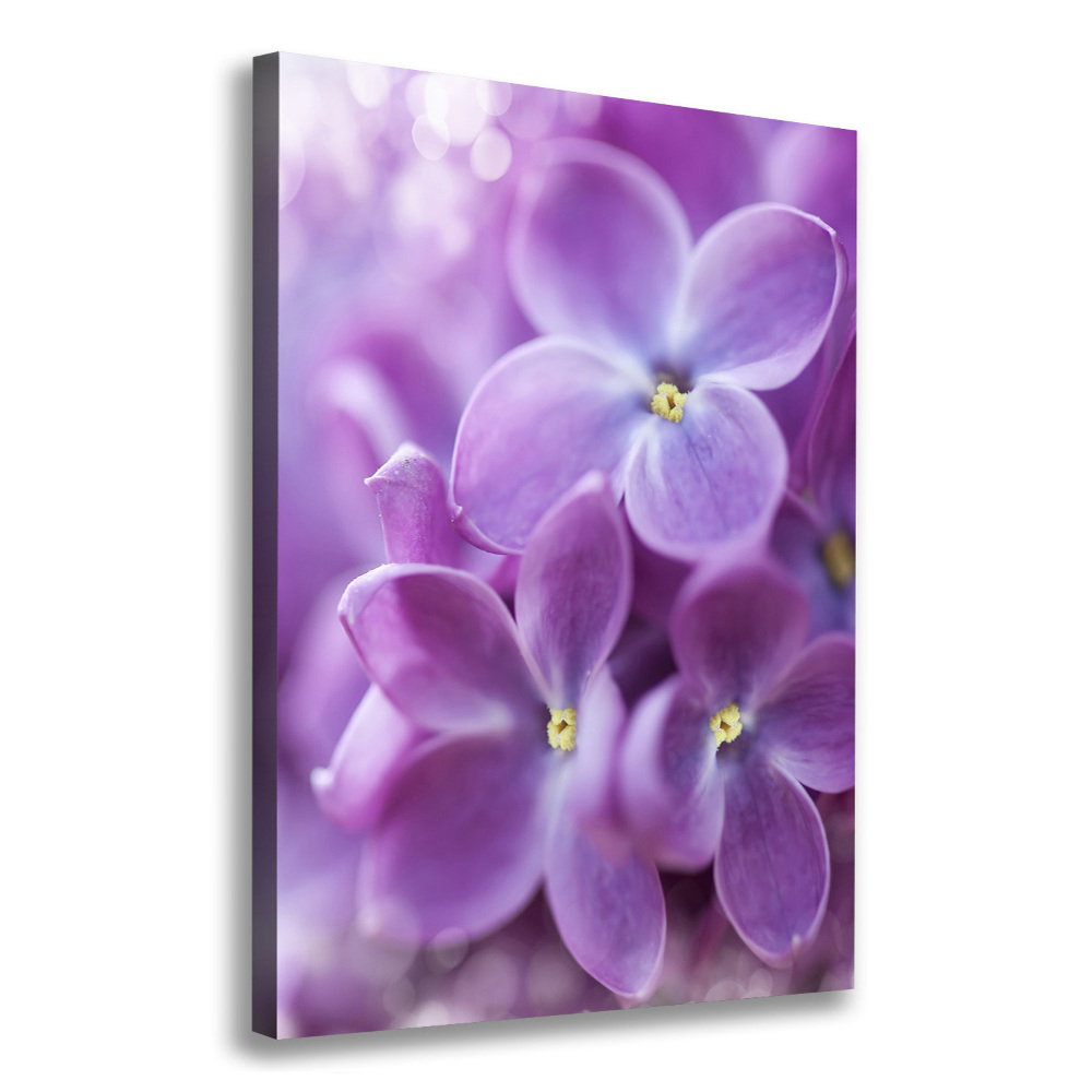 Wall art canvas Lilac flowers